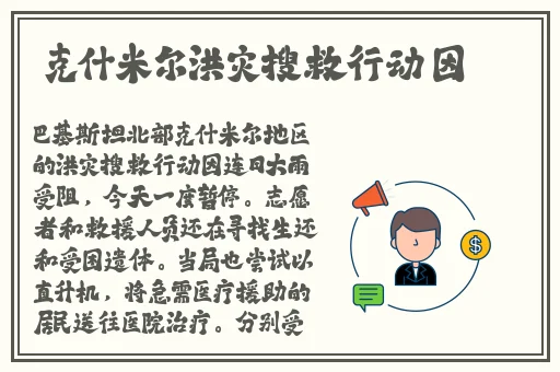 公交车后车座的疯狂的视频